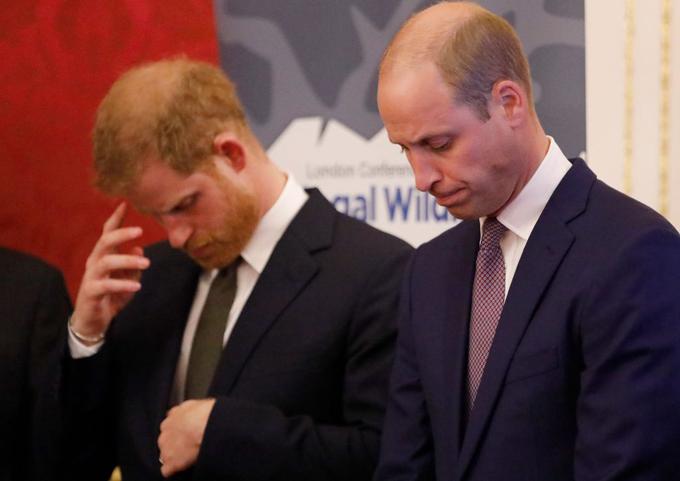 Princ Harry in princ William | Foto: Getty Images