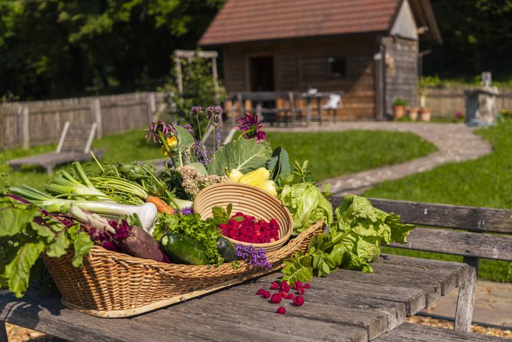 Sestavine za SlimFit prehrano in sveže stisnjene detox sokove v sezoni pridelajo sami na ekološkem vrtu, ali pa jih odkupijo od bližnjih, skrbno izbranih ekoloških kmetij. | Foto: Arhiv Term Krka