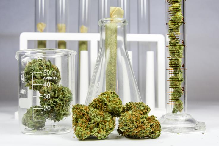 CBD | Foto: Shutterstock