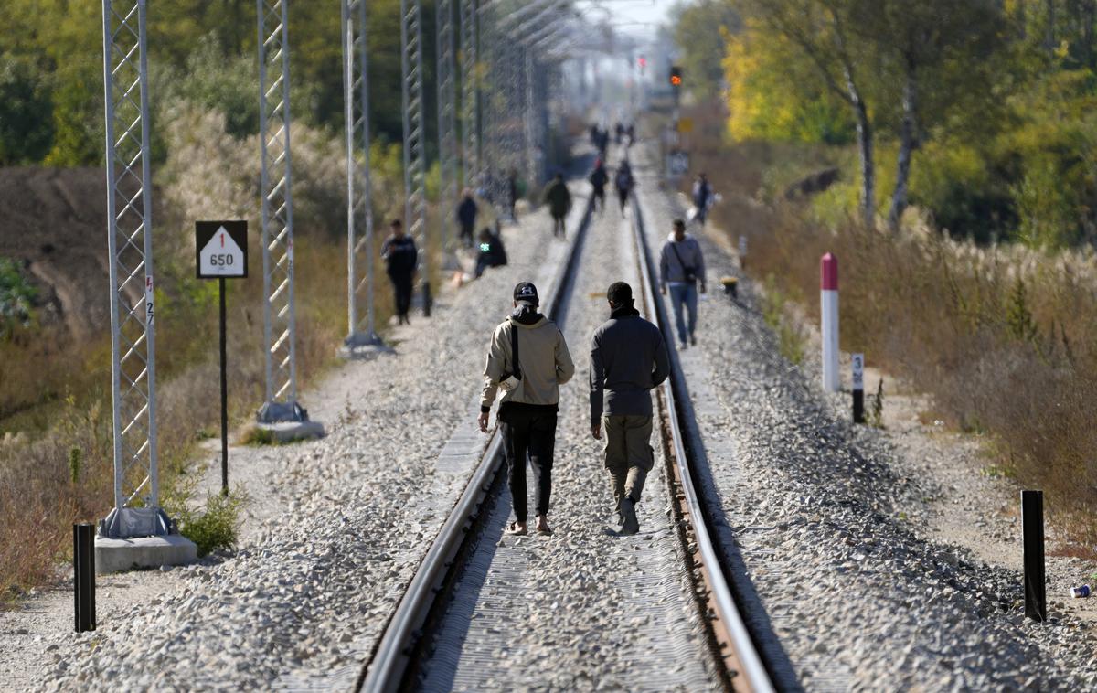 Migranti na madžarsko-srbski meji | Do konca oktobra je namero podaje prošnje za mednarodno zaščito napovedalo 39.837 migrantov, kar je prav tako manj kot v enakem obdobju lani (48.994). Daleč največ je bilo takih, ki so letos podali namero, državljanov Sirije, a jih večina nato hitro zapusti Slovenijo. | Foto Guliverimage