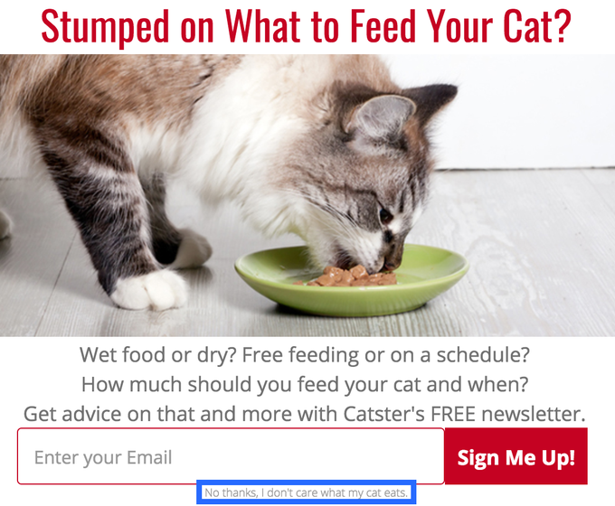Želite izvedeti, kako bi morali hraniti svojo mačko? Ne, hvala, vseeno mi je, kakšno hrano je moja mačka.  |  Foto: confirmshaming.tumblr.com | Foto: 