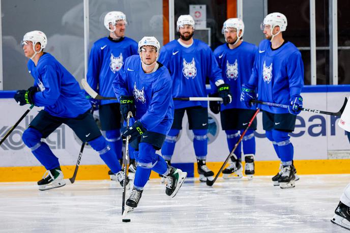 Slovenska hokejska reprezentanca | Slovenci so se po tednu priprav na Poljskem, kjer so odigrali tri pripravljalne tekme, vrnili na Bled. | Foto Aleš Fevžer
