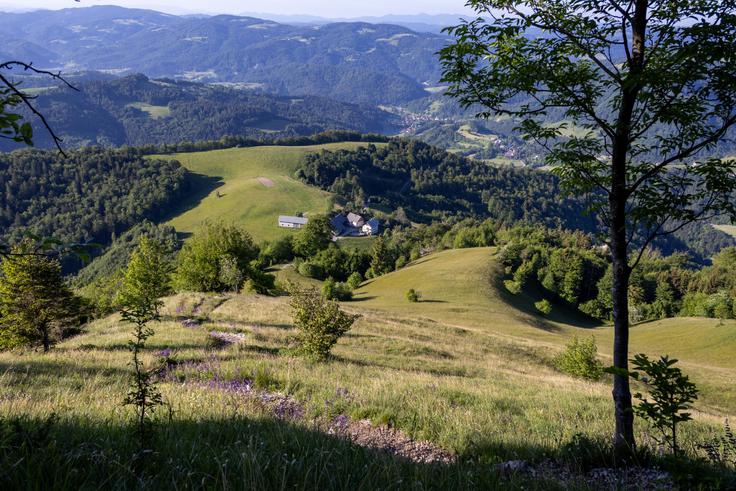 Od kmetije se strmina takoj postavi pokonci. | Foto: Matej Podgoršek