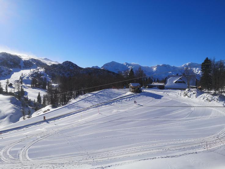 Vogel december 2019 | Foto: 