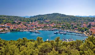 Na hrvaškem otoku Ugljan invazija divjih svinj. "Več jih je kot prebivalcev."