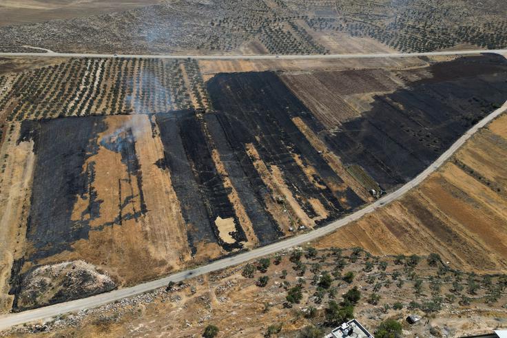 Zahodni breg | Foto: Reuters