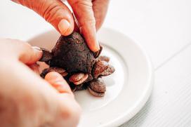 Agragold, čokoladni storži