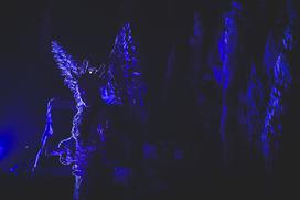 Žive jaslice v Postojnski jami