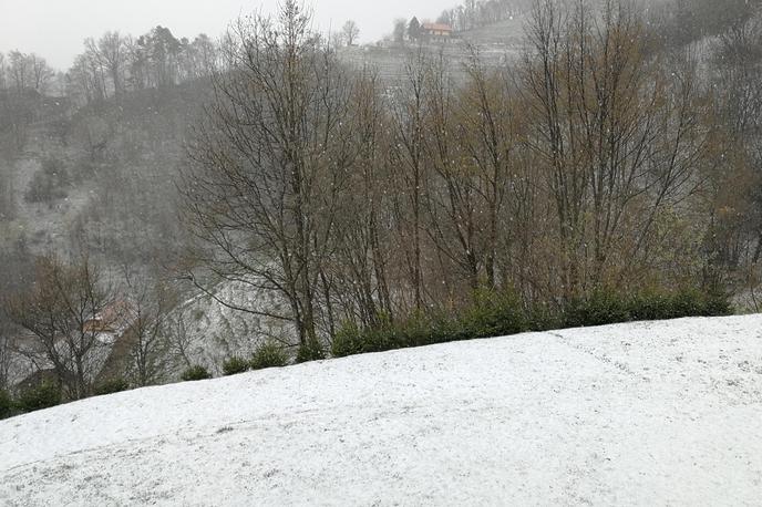Sn | Novozapadli sneg v okolici Rogaške Slatine. | Foto Siol.net