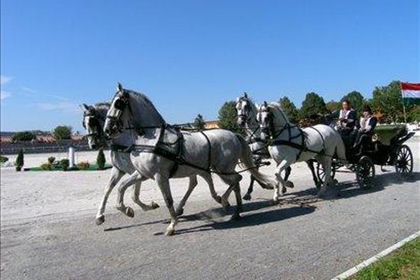 Mednarodno združenje za Lipico ob tožbi proti Tavčarju