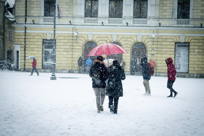 sneg v Ljubljani | Foto Ana Kovač
