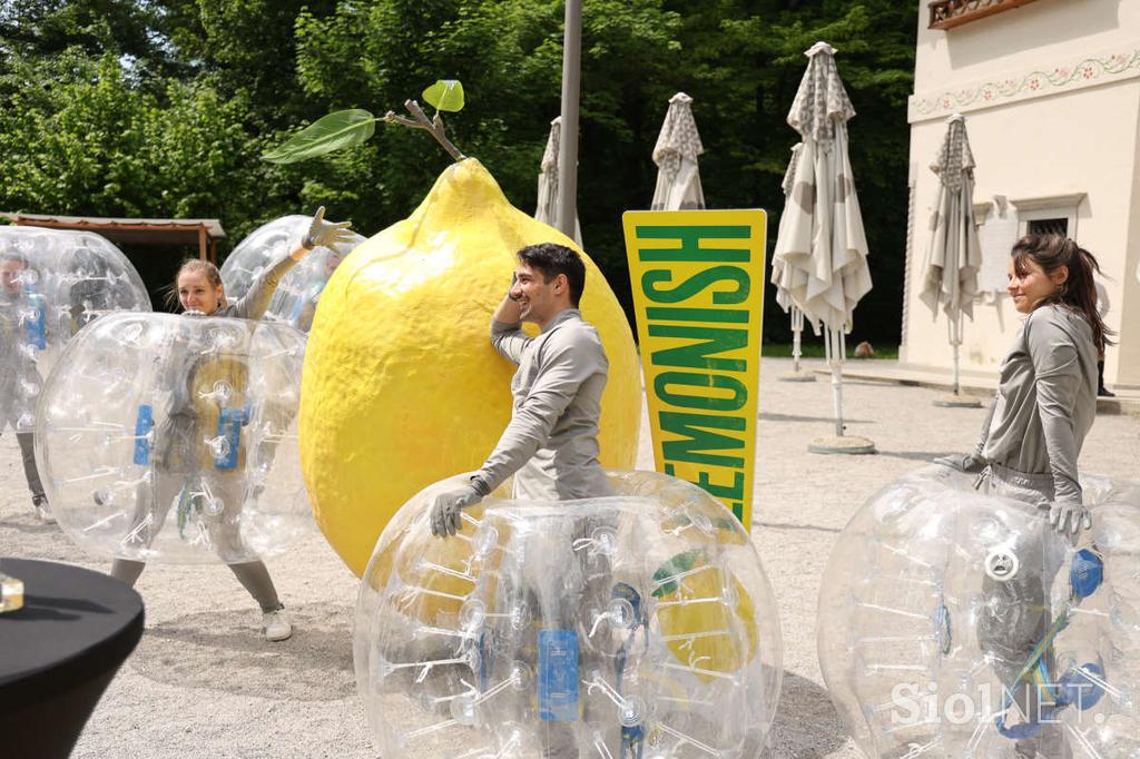 4K4A1457_Lemonish