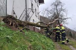 Močan veter na Primorskem in Gorenjskem: odkritih več streh, podrta drevesa #animacija