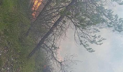Zagorelo na strmem in nedostopnem terenu nad Žerjavom