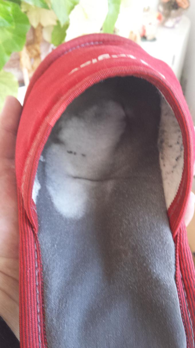 Dezinfekcija obutve in bela pena, ki nakazuje okuženost obutve z glivicami. | Foto: 