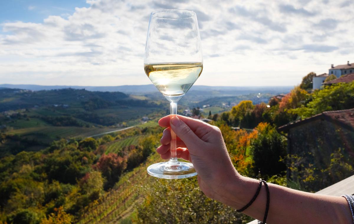 vino, vinograd, Goriška brda | Organizatorji sejma letos pričakujejo enkrat več razstavljavcev in štirikrat več obiskovalcev iz panoge kot lani, ponudili pa bodo tudi bogat spremljevalni program, vključno z gastronomskim šovom in kuharskim tekmovanjem. | Foto Shutterstock