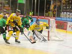 Vienna Capitals : HK Olimpija