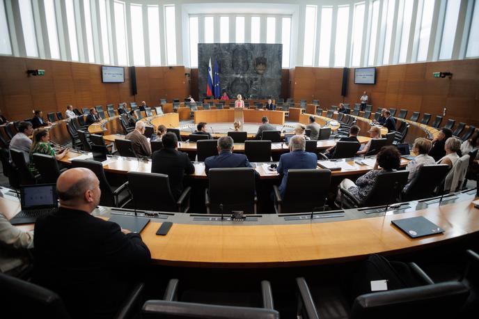 Državni zbor | Poslanci so na tokratni redni seji obravnavali tudi več zakonskih predlogov, vezanih na romska vprašanja. | Foto Nebojša Tejić/STA