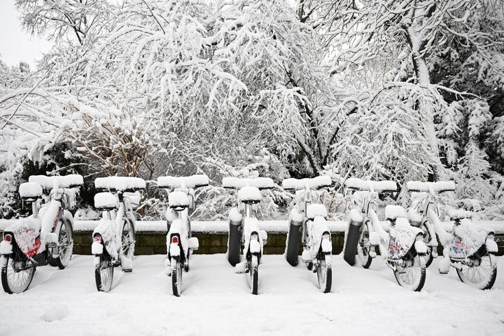 Sneg na Dunaju | Foto: Reuters