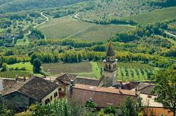 Istrska vina – nekaj, kar bi si lahko delili s Hrvati