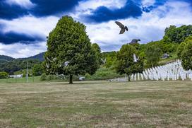 Srebrenica