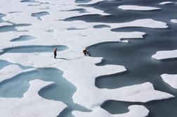 Obseg morskega ledu na Arktiki se še naprej manjša