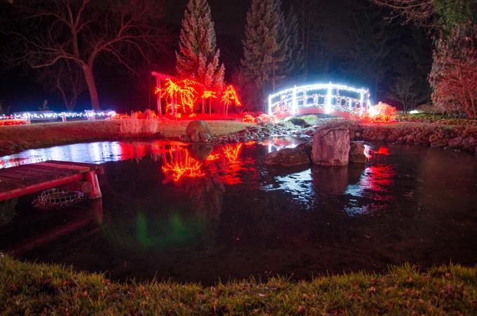 Mozirski gaj, Božična bajka | Foto: Matjaž Vertuš