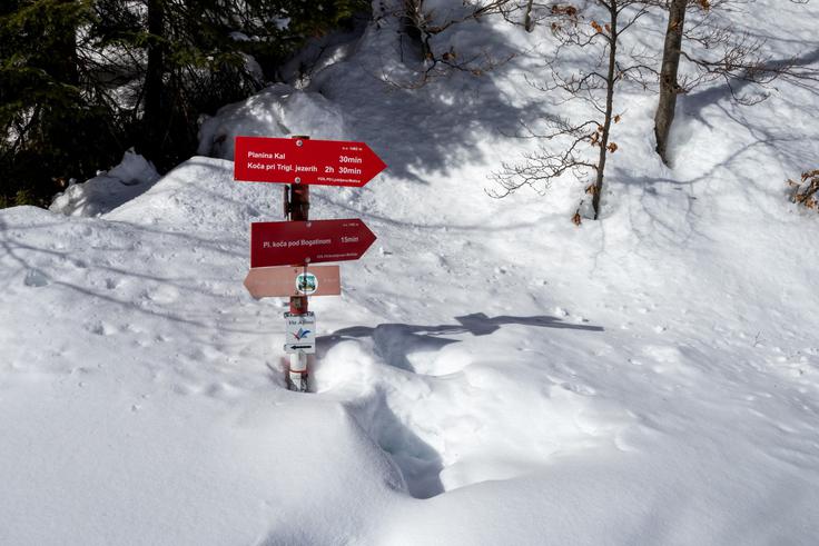 Lahko gremo najprej do doma na Komni ali do koče pod Bogatinom. | Foto: Matej Podgoršek