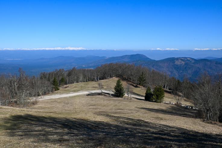 Na severnem pobočju Slivnice, tik pod vrhom, se nam odpre pogled proti Alpam. | Foto: Matej Podgoršek