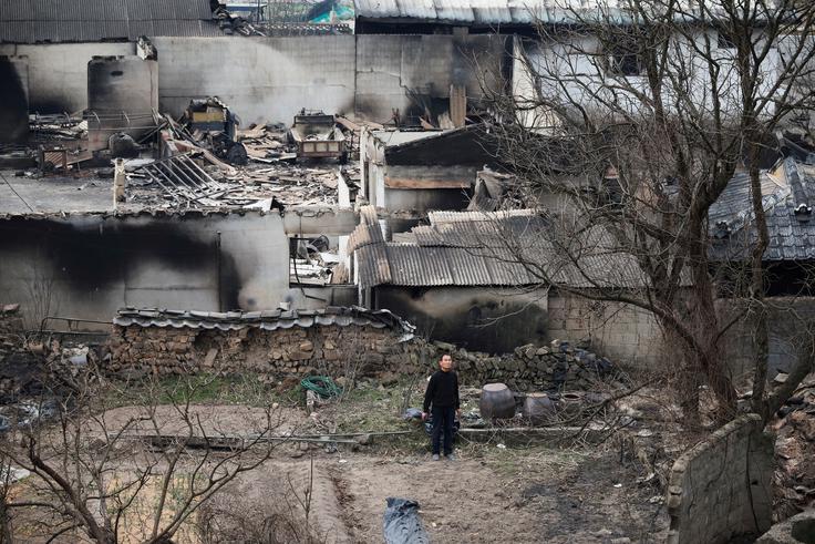 Obseg požganih površin je presegel rekordni požar iz leta 2000, ko je bilo uničenih skoraj 24 tisoč hektarjev površin ob vzhodni obali. | Foto: Reuters