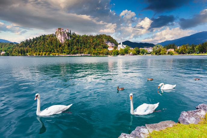 Bled Slovenija | Foto Thinkstock