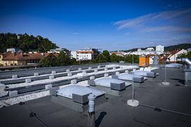 Urbani čebelar Ljubljana