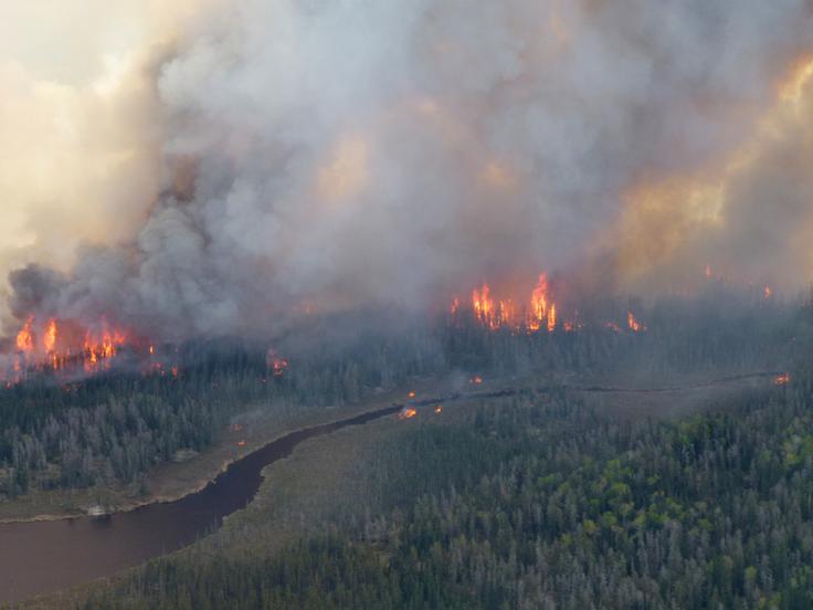 Požari so letos uničili že približno 3,1 milijona hektarjev gozdov, v več majhnih mestih je uničenih na stotine stavb. | Foto: Reuters