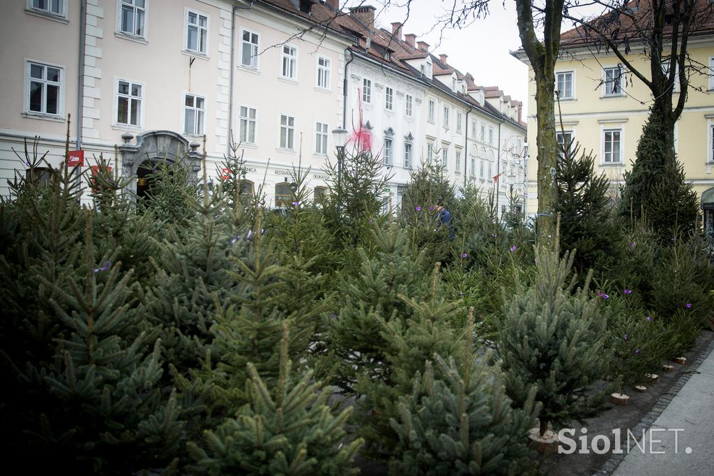 Božična drevesa jelke smreke ljubljanska tržnica