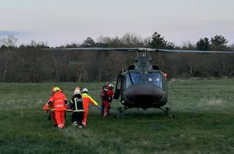 Med grabljenjem listja občana ugriznil modras