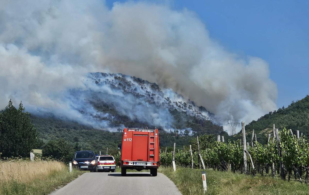 Požar Kras | Požar je izbruhnil v smeri Škrbine proti Trstelju na Krasu v Občini Komen. | Foto Gasilska zveza Slovenije