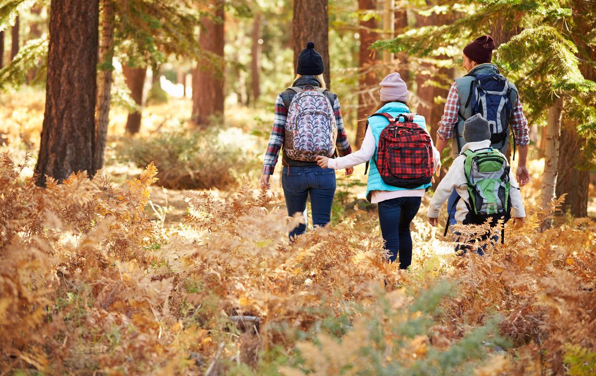 gozd, pohodništvo, jesen, planinarjenje, rekreacija, sprehod | Foto Getty Images