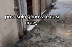 Posledice plimovanja v Italiji: ribe plavajo po ulicah