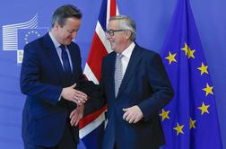 David Cameron brez podpore za reformo EU po britanskih željah