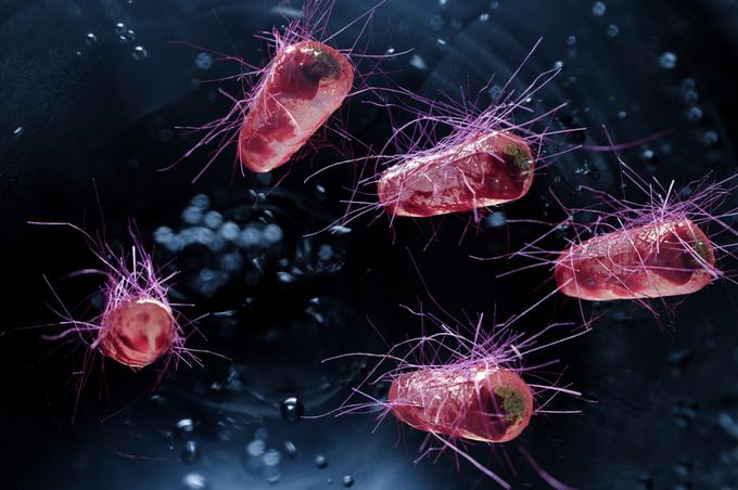 Kar 80 % okužb sečil povzroči bakterija E.Coli.  | Foto: Shutterstock