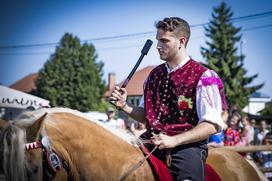 Posavsko štehvanje