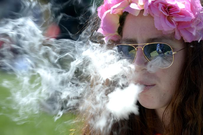 kanabis trava marihuana | Čeprav se je Hrvaška z dekriminalizacijo uvrstila med ene najbolj liberalnih držav na področju prepovedanih drog, pa so kazni za njihovo posedovanje še zmeraj zelo visoke. | Foto Reuters