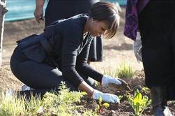 Michelle Obama v boj proti osiromašeni ponudbi zdrave hrane