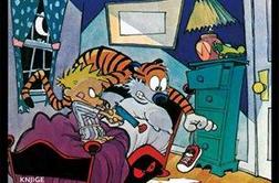 Calvin in Hobbes prvič v slovenščini