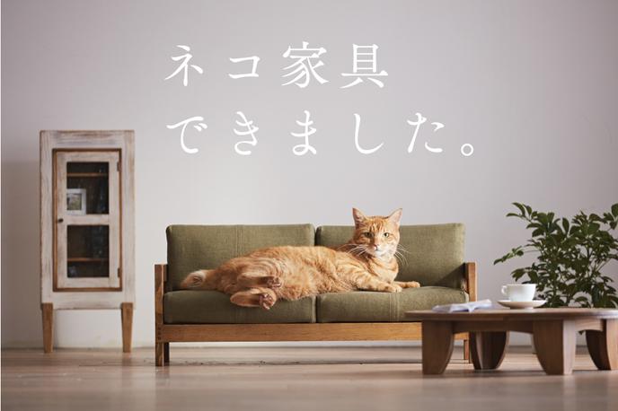 pohištvo za mačke | Foto Okawa Kagu