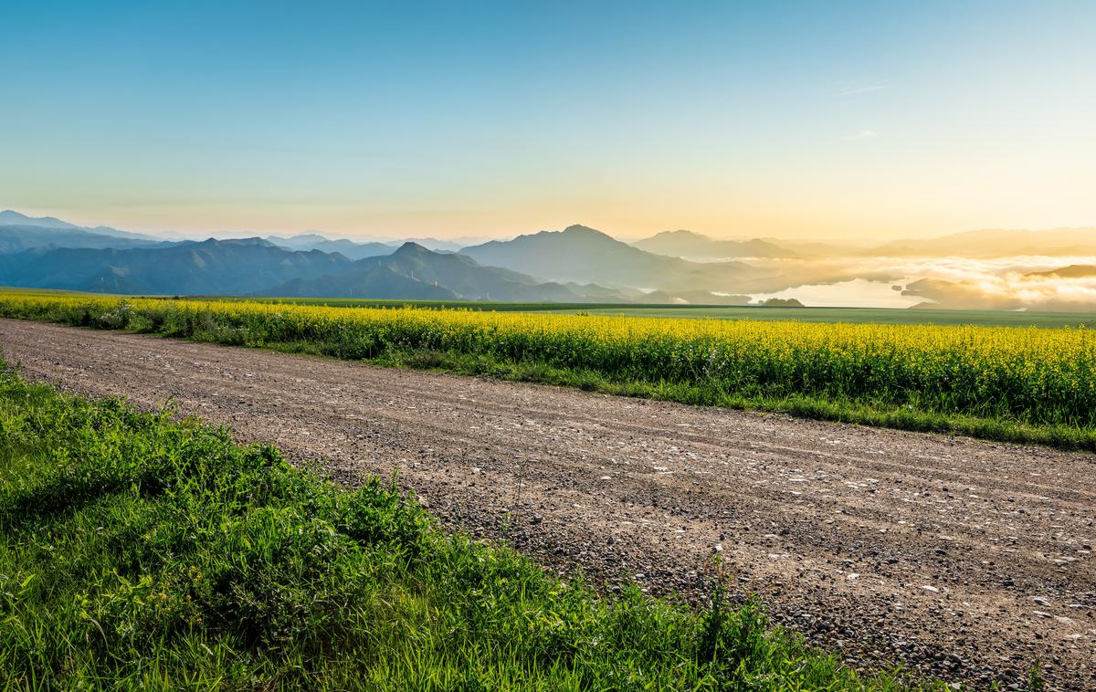 podeželjska cesta | Foto Shutterstock