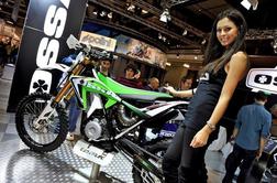 Ossa 250/300 i