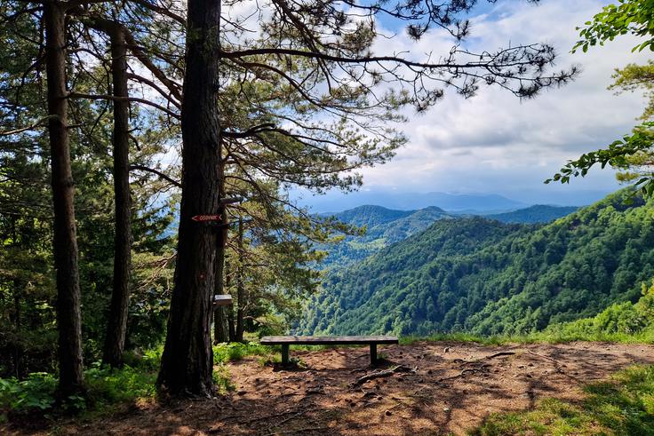 Z Gontarske planine razgled ni najlepši, saj je odprto samo proti jugu. | Foto: Matej Podgoršek