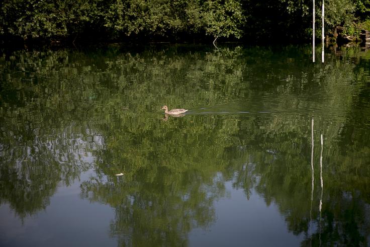 Livada | Foto: Ana Kovač