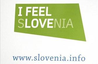 Gulič Simonitija sprašuje glede globe Dnevniku